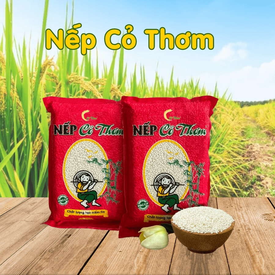 Nếp Cỏ Thơm - NTD01